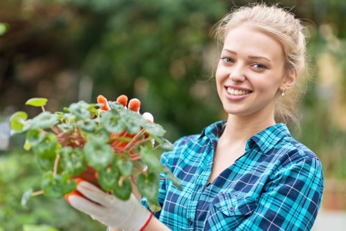 Frost-protected plants during winter in Norwood