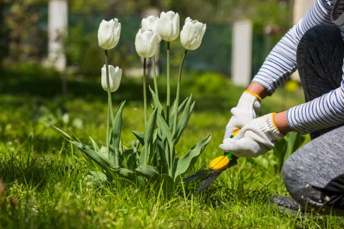 Sustainable lawn care techniques