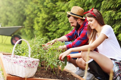 A man and a woman are gardening outdoors, tending to young plants in a raised flower bed with dark, moist soil. The man, dressed casually in a red and blue plaid shirt and wearing a straw hat, is carefully examining or trimming the plants. The woman, wearing a white t-shirt, red bandana, and black rubber boots, is also engaged in gardening activities. To the left, there is a white wicker basket with a pink floral pattern placed on the edge of the flower bed, possibly used for collecting garden produce or tools. The background features lush green hedges and trees, indicating a well-maintained garden space with natural light and a warm, sunny day, suitable for outdoor gardening activities. The scene reflects typical gardening work in a residential garden, supporting professional gardening and landscaping services such as hedge trimming and lawn care offered by companies like Hedge Trimming Norwood, serving the local Norwood area in London postcode SW16.