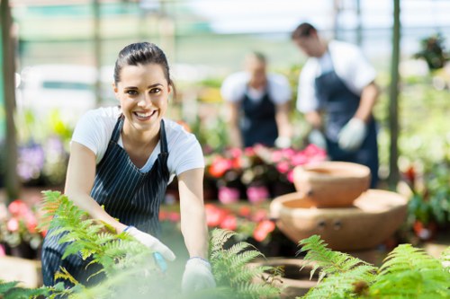 Lush summer garden with blooming flowers in Norwood